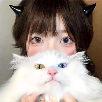 少年派2
